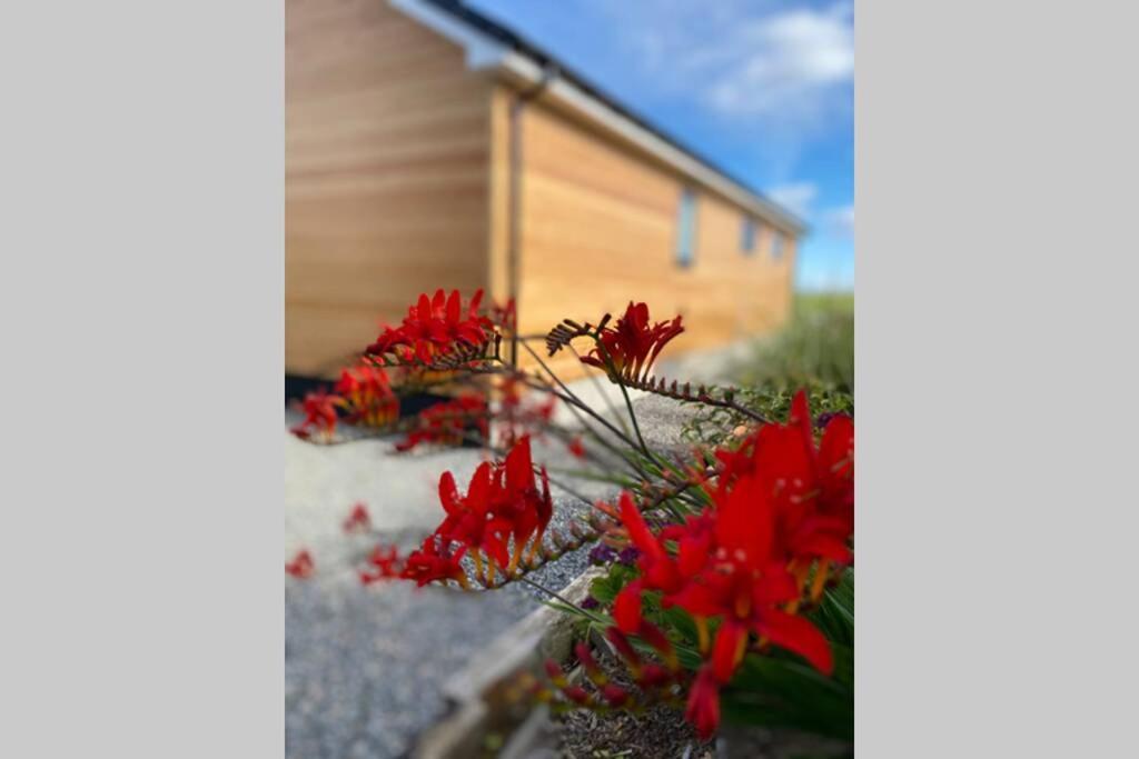 The Gallafield, Self Catering Bungalow , Stornoway Сторновей Екстер'єр фото